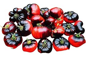 Tomate Indigo ''Blue Beauty 10 Semillas By Samenchilishop