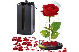 FUNINGEEK Rose Eternelle sous Cloche, Rose Dôme en Verre Fleur Artificielle, Rose Éternelle avec Lumière LED, Cadeau pour la Fête des Mères Saint-Valentin Anniversaire Mariage Noël