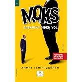Moks: The Road to Success Hundreds of Applications and a Theory from T&uuml;rkiye and the World