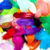 HaiMay 450 Pcs Brown Craft Feathers – Natural Feathers For DIY, Wedding, Home Decor - View #4