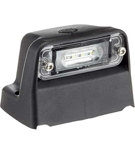 Luces De Matrícula LED 12V-24V Universales - 2 Unidades, Blanca 7000K, Resistente Al Agua Para Coche, Furgoneta O Remolque