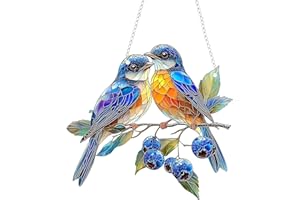 LUMOOM Décoration Suspendue Pour Fenêtre En Verre Coloré, Attrape-Soleil Colibri À Accrocher Aux Fenêtres, Pendentif Oiseau En Acryl Avec Chaîne, Décoration Pour Fenêtres Et Portes Pour Maison Studio