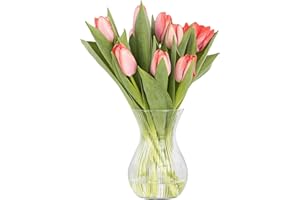 ‎TREND FOR HOME TREND FOR HOME Wazon na Kwiaty 18 cm Wazon na Tulipany Klasyczny Kształt Szkło Bezbarwne Prążkowane Wazon ze Szkła Pojemnik na Kwiaty Szklany Wazon Dekoracyjny | ⌀ 11 cm | 1229 ml | Lyra Luminous