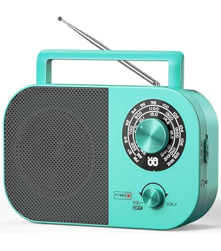Adler Radio Europe AD 1909 Am/FM, Radio portátil con Gran dial Giratorio, Antena telescópica y Entrada jacking, Entrada Jack de 3,5 mm, Funciona con alimentación de Red y batería