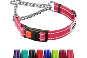 CollarDirect Reflective Dog Collar, Martingale Collars, Side Buckle, Chain Training, Adjustable Pet Collars (M, 35-42 cm, Pink)