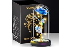 ‎OTLONPE Otlonpe Blumen Geschenke für Frauen, Ewige Glas Rose Geschenke für Weihnachts Valentinstag Muttertagsgeschenk, Rosen Geburtstagsgeschenk für Frauen Sie Mama Freundin Oma Frau Beste Freund, Blau