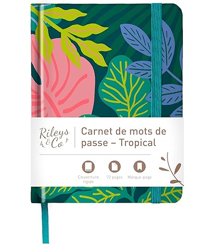 Eponge Mélamine - Sachet de 10 - Delaisy Kargo Eponge Mélamine - Sachet de 10 - Delaisy Kargo