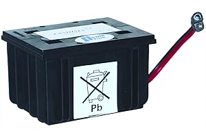 GREENSTAR Tashima 15344 Batterie bs1225-acide/gel (bs1225), Noir