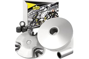 ‎AREA1 Ersatz Variomatik kompatibel mit Beeline Pista 50, Memory 50, kompatibel mit Naked 50 (kompatibel mit 2T)