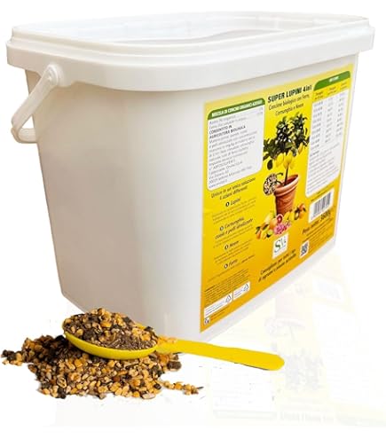 Mapo - Ibrido Mandarino Avana X Pompelmo Duncan - Oscar Tintori - Gli