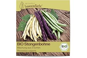 Samenliebe BIO Stangenbohnen Samen alte Sorte Mischung aus 3 Sorten Freilandbohnen Bohne 20 Samen samenfestes Gemüse Saatgut für Garten und Freiland BIO Gemüsesamen