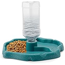 Distributeur D'eau Pour Reptile - Distributeur D'eau Portable Avec Plat