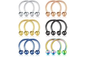 Rajnard Anillo de la Nariz Piercing y Bola de Repuesto Conjunto de Plata Negro 16G Acero quirúrgico Herradura Septum Labio hélix cartílago Trago Daith Rook Pendientes 6 8 10 12mm