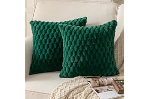 Mandioo 2er Set Dunkelgrün superweichen dekorative Plüsch Kissenbezug Kissenbezüge 45 x 45 cm Wollsamt Dekokissenbezüge Kissenhülle Sofakissen Dekokissen flauschig für Couch Sofa Bett Wohnzimmer