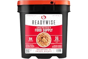 READYWISE Wise Empresa 84 Servir Desayuno para entrantes Grab and Go Kit de Alimentos