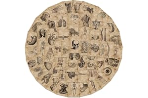 LYUNMU Juego de 50 pegatinas de esqueleto, diseño de esqueleto, para coche, ordenador portátil, monopatín, bicicleta, moto, bicicleta, ordenador, adultos, niños