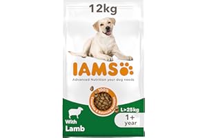 IAMS Adult Large Complete Dry Dog Food Lamb 12kg - With DentalCare System