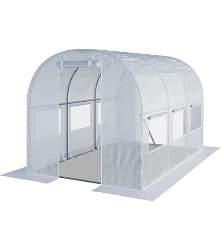 Gewächshaus Junior Aus Verzinktem Stahl Mit Nörpelglas – 2,49 X 5,05 M, 12,5 M², Inkl. Dachfenster & Tür