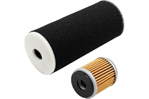 Road Passion Filtro de aire, 12-95820 1UY-14451-00-00 con kit de filtro de aceite Reemplaza para Yamaha Raptor 350 YFM350RSE2 Special Edition II 2007,Warrior 350 YFM350X 1987-2004