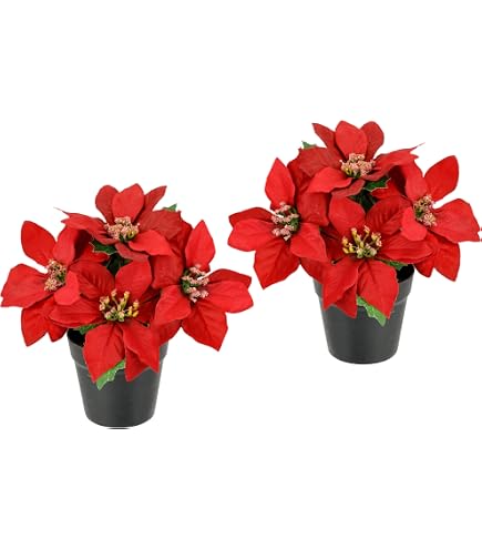 DPI künstliche Poinsettie/Weihnachtsstern im schwarzen Kunststofftopf (ca. 25 x 30 cm) Küche, Haushalt & Wohnen