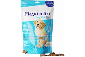 Flexadin® Young Dog Maxi| dla zdrowych stawów młodych psów od 10 kg | z glukozaminą, chondroityną, omega-3, diabelskim pazurem – 60 łatek stawowych