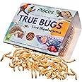 PISCES True Bugs Live Larvae MEALWORMS, 600 pcs, High Protien Treat Food With Natural Supplement For All Life Stages Aquarium Fishe Like Arowana, Flowerhorn, Oscar, Birds, Reptile, Monkey & Other Pet