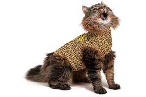 MPS Medical Pet Shirt Cat, Surgery Recovery Suit, Leopard-Print, XXXX-Small