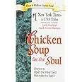Chicken Soup for the Soul - Export Edition