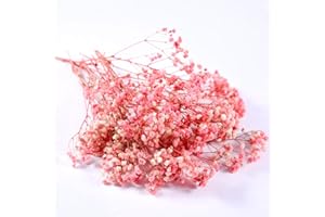 QZKJQDD Suszone kwiaty, cypsophila, suszone kwiaty rzemieślnicze, suszone kwiaty, dekoracja suszonych kwiatów, nadaje się do pudełka prezentowego, scrapbookingu, ręcznie robionych świec zapachowych