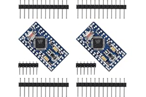 DUBEUYEW Pro Mini Development Board 5V/16MHz Compatible with Arduino(2PCS)