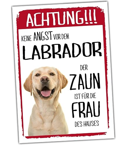Golden Retriever Warnschild – „Freilaufender Hund“ Alu-Schild 20x14 Cm Für Garten & Tür