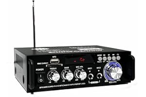 600W Amplificatore, NamYoprce HiFi Audio Stereo BT Radio Portatile per Auto o Casa, con Telecomando ed Mini Display 2CH LCD, 12 V / 220 V (600W)