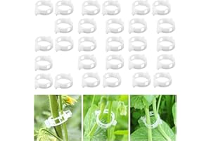 Cohentbliss Clip de Planta Abrazadera de Plástico para Plantas Clips de Injerto de Jardinería Clip para Plantas Soporte para de Jardinería Soporte Plantas y Vegetales para Crecer Vertical 200 Piezas