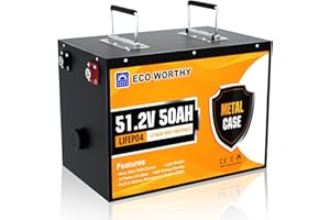 ECO-WORTHY Batteria al litio da 48 V, 50 Ah, con 3000 cicli profondi e protezione BMS, per camper, sistemi solari, barche, famiglie, kit di pannelli solari e applicazioni industriali