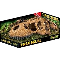 Exo Terra PT2859 T-Rex Schädel