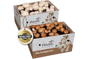 Hawlik Pilzbrut - Champignon Zuchtset - 2er Pilzzuchtbox Champignons Komplettset mit Anleitung - Erntefrische Pilze Zuhause züchten - ganz ohne Garten - für Anfänger & Kinder