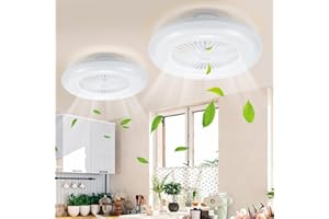 Daromigo 2x80W Ventilador de Techo con iluminación y Control Remoto, Modo frío y cálido, 3 Light Color Change y 6 velocidades del ventilador para dormitorio salón, Dimmable, Temporizador