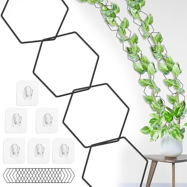 Rankhilfe fr Kletterpflanzen erweiterbar - Kletterhilfe - Monstera -  Efeutute - Philodendron (Beige, 4, Millimeter, 270, Zentimeter, 270,  Zentimeter, 270.00, Zentimeter, 12, Zentimeter) : Amazon.de: Kche,  Haushalt & Wohnen