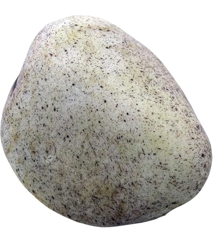 QUARKZMAN Finto Sasso Nascondi Chiave, Nascondi Una Chiave Di