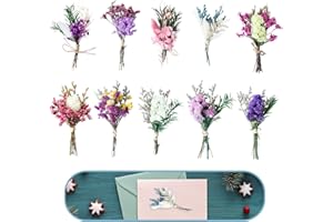 YREYBN 10 Pcs Mini Natural Real Dried Flower, Dried Flowers for Crafts, Boho Dried Flowers Bouquet, For DIY Craft Card Decoration Home Wedding Decor Photo Props Present Decor