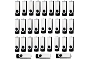 lcwamy 8GB USB Sticks 10 Pack USB Flash Drives 10 Pack USB2.0 Flash Drive Thumb Drive Pack Memory Stick (8GB 10PCS)