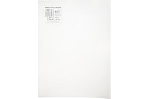 Darice 33275-1 Canevas 14 Mesh Plastique Transparent 7,62 x 7,62 x 0,025 cm