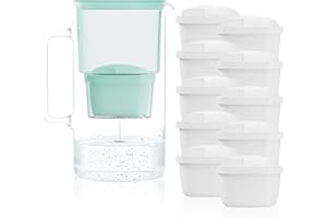 Wessper Carafe Filtrante en Verre avec dix Filtres pour Carafes, Compatibles avec Brita Maxtra, Brita Maxtra+, Grande capacité 3 L, Kit Carafe + 10 cartouches- Menthe