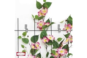 bellissa Spalier Abstandshalter Edelstahl 4er Set mit Dübel Schrauben Rankgitter Säule Spirale Gitter