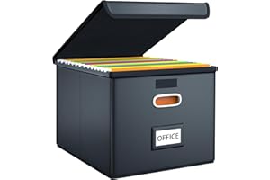 FINEW Scatola portaoggetti pieghevole in tessuto con coperchio, materiale in pelle migliorato, per cartelle sospese, formato DIN A4, scatole per ufficio, scatola pieghevole per famiglie (nero)