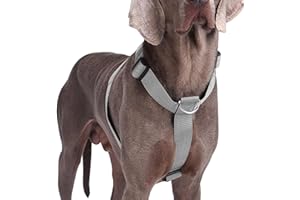 AKOFIC Pettorina Cane Taglia Grande Media Piccola, Pettorina Antifuga Regolabile con Ganci in Metallo, Pettorine Morbido Confortevole Imbottito Petto per Addestrare Le Passeggiate (Grigio, L)