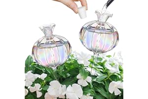 shallyong 2 Stück Bewässerungskugeln Glas, Wasserspender Pflanzenn Bewässerung Glaskugeln, Automatisches Selbstbewässerungssystem für Zimmerpflanzen, Topfpflanzen Innen Deko und Garten