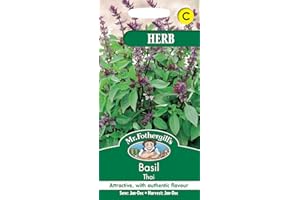 MR FOTHERGILLS Mr Fothergill's 11483 Herb Seeds, Basil Thai, Green