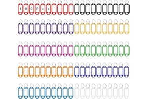 HIQU and HIST Schlüsselanhänger, Kunststoff Schlüsselschilder mit Schlaufen,Schlüsselanhänger Beschriftbar Etiketten für Schlüssel, Haustiere, Gepäckstücke,10 Farben Austauschba（50/100/150 Stück