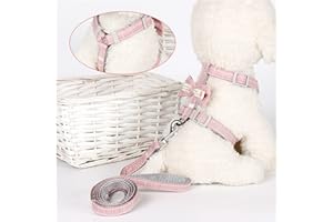 FuninCrea Pettorina per Gatti con Guinzaglio per Gatti, Regolabile Rabbitgoo Pettorina Gatto con un Bel Fiocco, Guinzaglio per Auto, Imbracatura per Gatti con Fibbia di Sicurezza (Rosa)